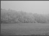 Simply Grey